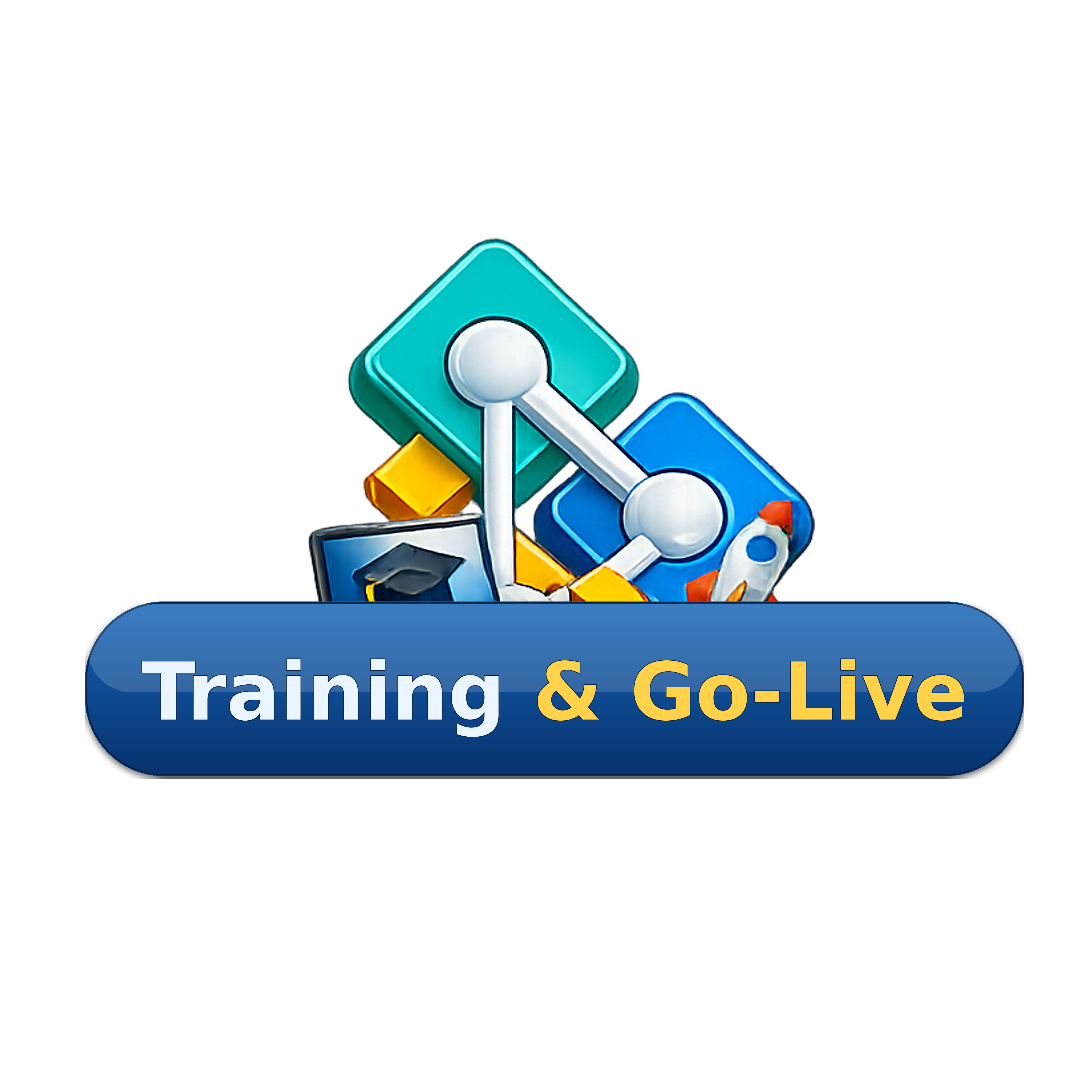 Training & Go-Live